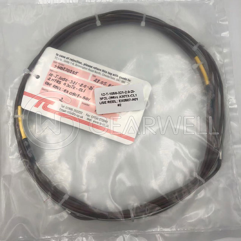 TC 12-T-1050-316-2.0-2I-3P2L-2MTRS-A30TX Thermocouple