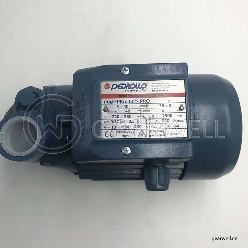 PEDROLLO PKM60-PRO Peripheral impeller pumps