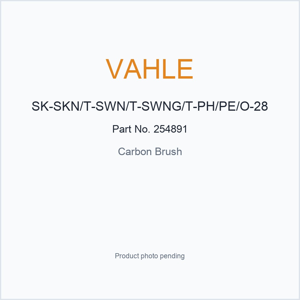 VAHLE SK-SKN/T-SWN/T-SWNG/T-PH/PE/O-28 254891 Carbon Brush